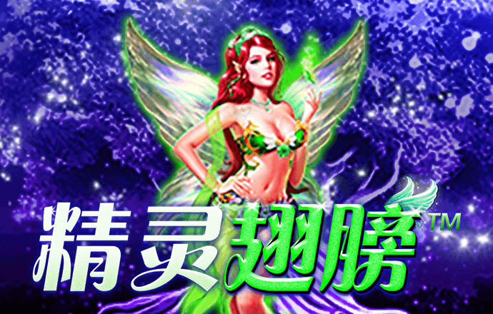 bob全站手机